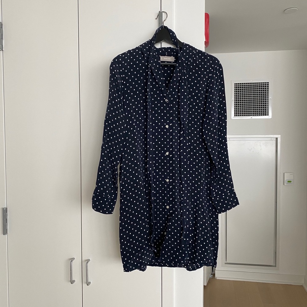 Everlane Polka Dot Dress